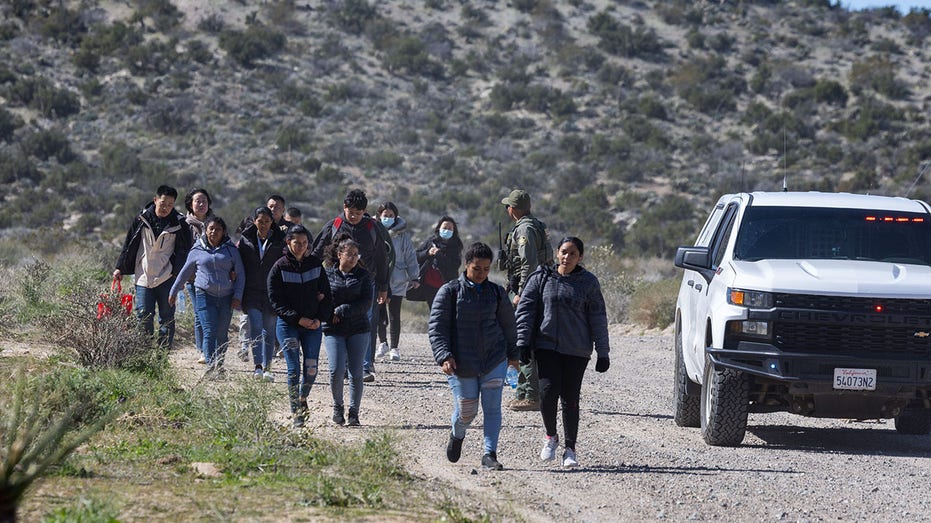 Turkish migrant crossing US border says Americans are ‘right’ to be concerned: ‘No security’